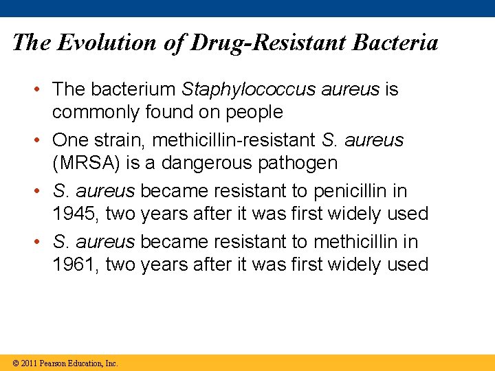 The Evolution of Drug-Resistant Bacteria • The bacterium Staphylococcus aureus is commonly found on