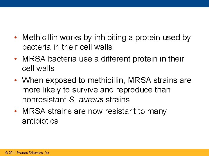  • Methicillin works by inhibiting a protein used by bacteria in their cell