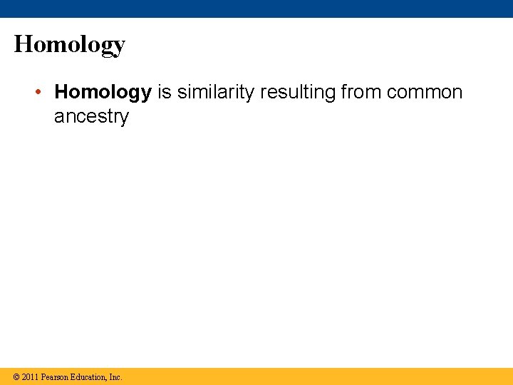 Homology • Homology is similarity resulting from common ancestry © 2011 Pearson Education, Inc.