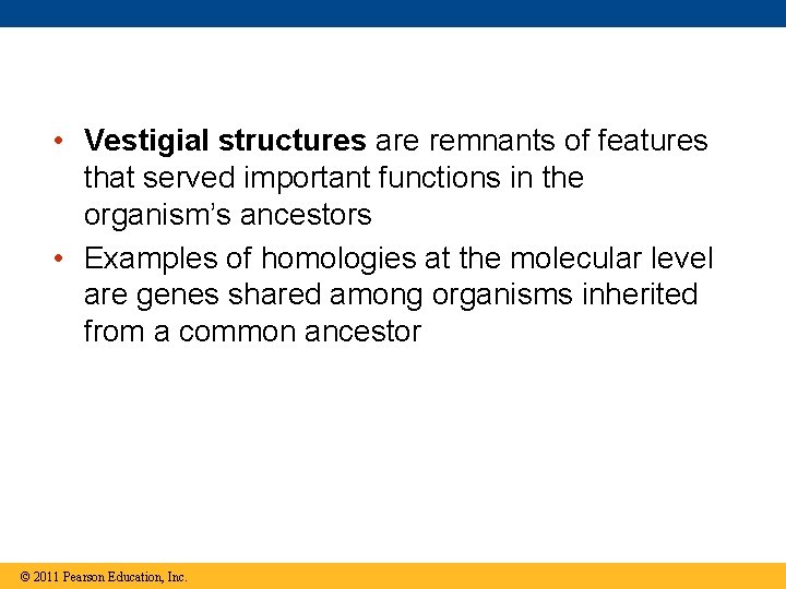  • Vestigial structures are remnants of features that served important functions in the
