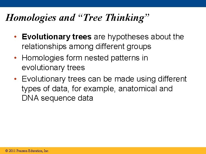 Homologies and “Tree Thinking” • Evolutionary trees are hypotheses about the relationships among different