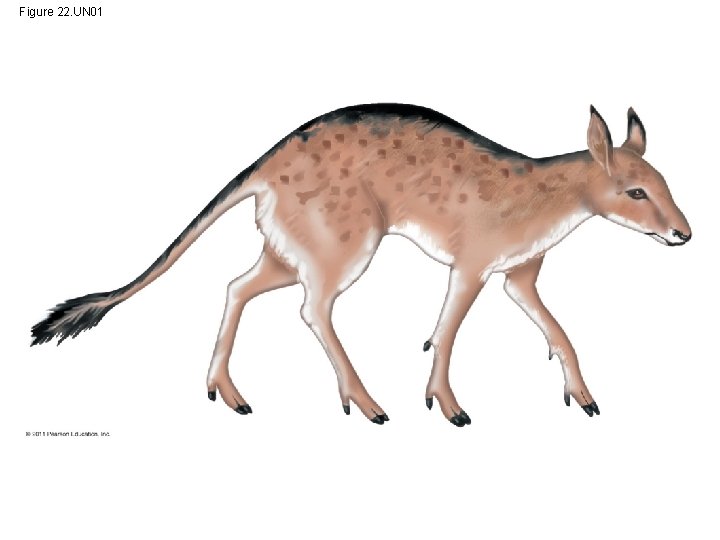 Figure 22. UN 01 