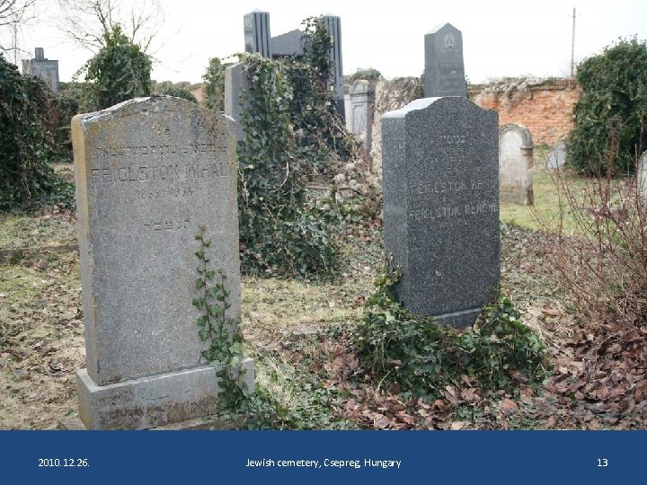 2010. 12. 26. Jewish cemetery, Csepreg, Hungary 13 