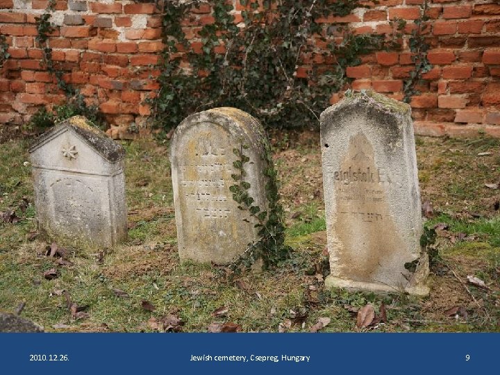 2010. 12. 26. Jewish cemetery, Csepreg, Hungary 9 