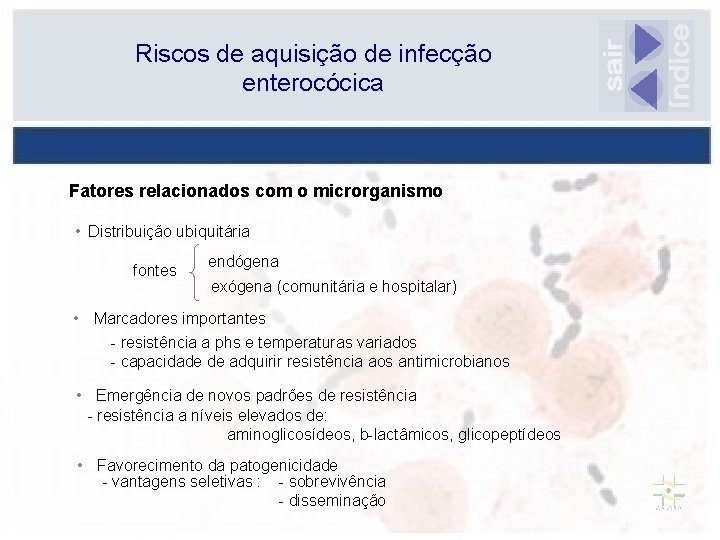 Riscos de aquisição de infecção enterocócica Fatores relacionados com o microrganismo • Distribuição ubiquitária