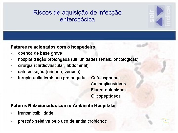 Riscos de aquisição de infecção enterocócica Fatores relacionados com o hospedeiro • doença de