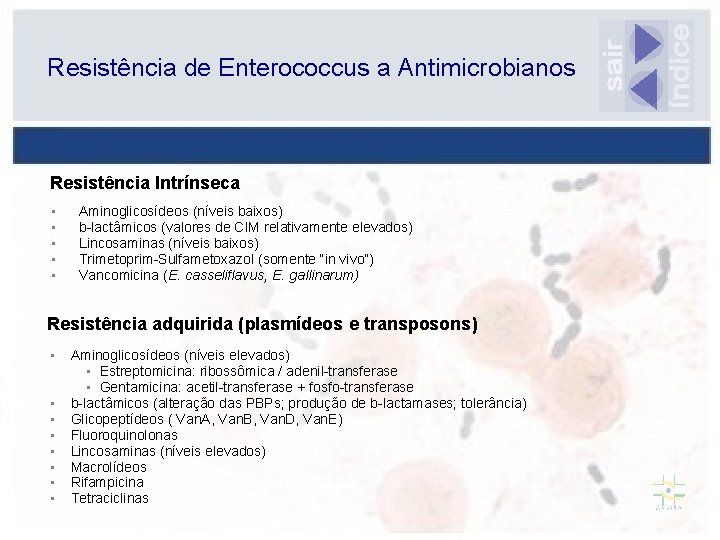 Resistência de Enterococcus a Antimicrobianos Resistência Intrínseca • • • Aminoglicosídeos (níveis baixos) b-lactâmicos