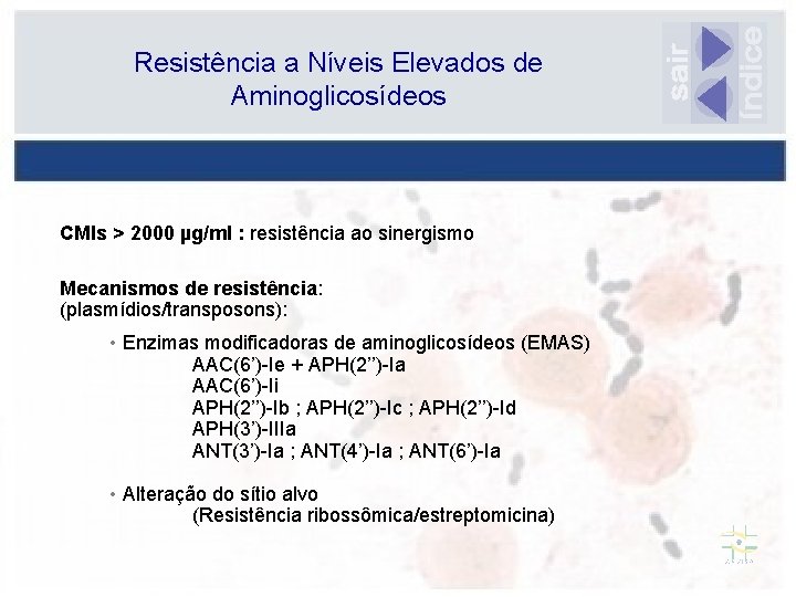 Resistência a Níveis Elevados de Aminoglicosídeos CMIs > 2000 µg/ml : resistência ao sinergismo