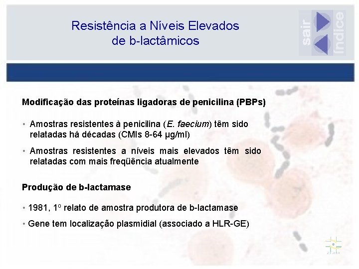 Resistência a Níveis Elevados de b-lactâmicos Modificação das proteínas ligadoras de penicilina (PBPs) •