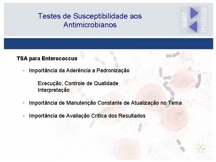 Testes de Susceptibilidade aos Antimicrobianos TSA para Enterococcus • Importância da Aderência a Padronização