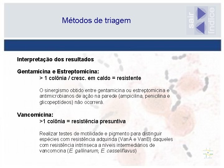 Métodos de triagem Interpretação dos resultados Gentamicina e Estreptomicina: > 1 colônia / cresc.