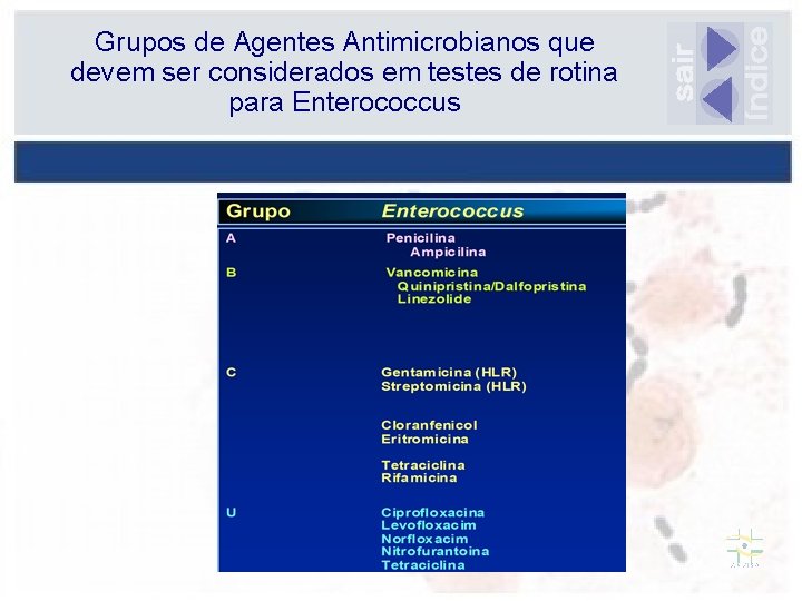 Grupos de Agentes Antimicrobianos que devem ser considerados em testes de rotina para Enterococcus