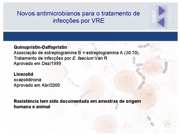 Novos antimicrobianos para o tratamento de infecções por VRE Quinupristin-Dalfopristin Associação de estreptogramina B