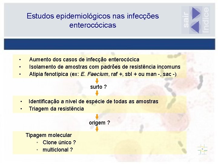 Estudos epidemiológicos nas infecções enterocócicas • • • Aumento dos casos de infecção enterocócica