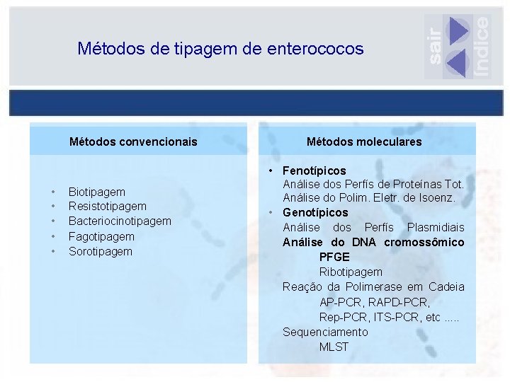 Métodos de tipagem de enterococos Métodos convencionais • • • Biotipagem Resistotipagem Bacteriocinotipagem Fagotipagem