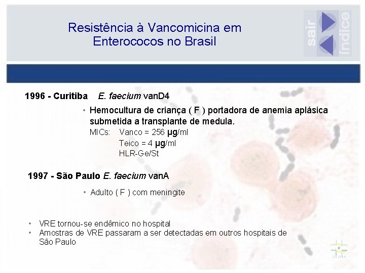 Resistência à Vancomicina em Enterococos no Brasil 1996 - Curitiba E. faecium van. D