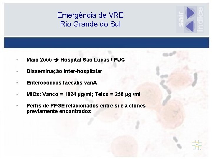 Emergência de VRE Rio Grande do Sul • Maio 2000 Hospital São Lucas /