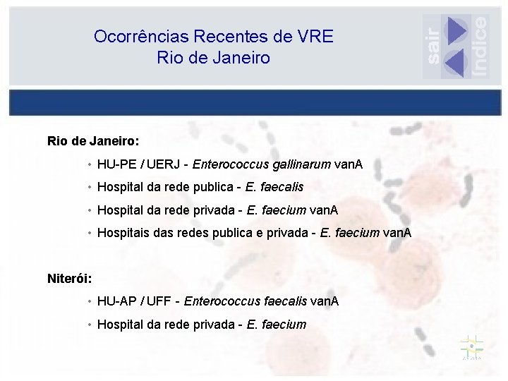 Ocorrências Recentes de VRE Rio de Janeiro: • HU-PE / UERJ - Enterococcus gallinarum