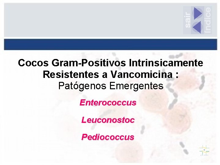 Cocos Gram-Positivos Intrinsicamente Resistentes a Vancomicina : Patógenos Emergentes Enterococcus Leuconostoc Pediococcus 