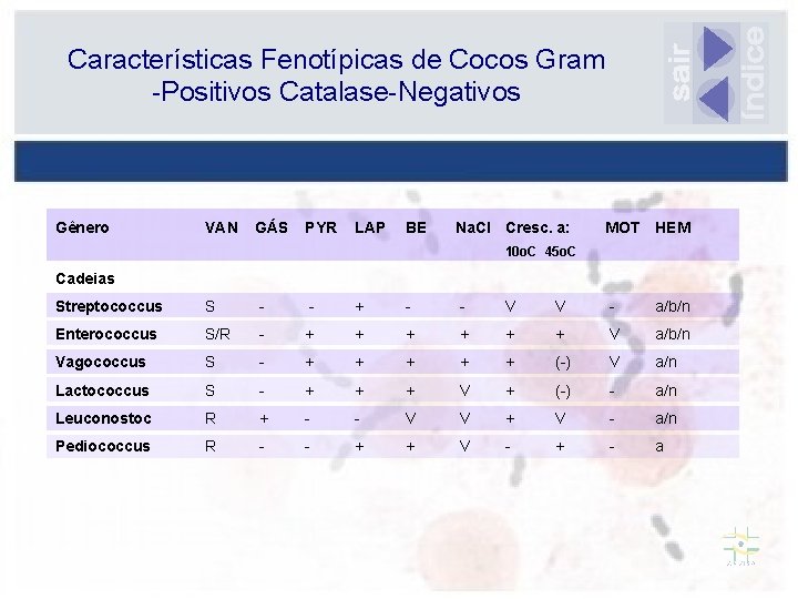 Características Fenotípicas de Cocos Gram -Positivos Catalase-Negativos Gênero VAN GÁS PYR LAP BE Na.