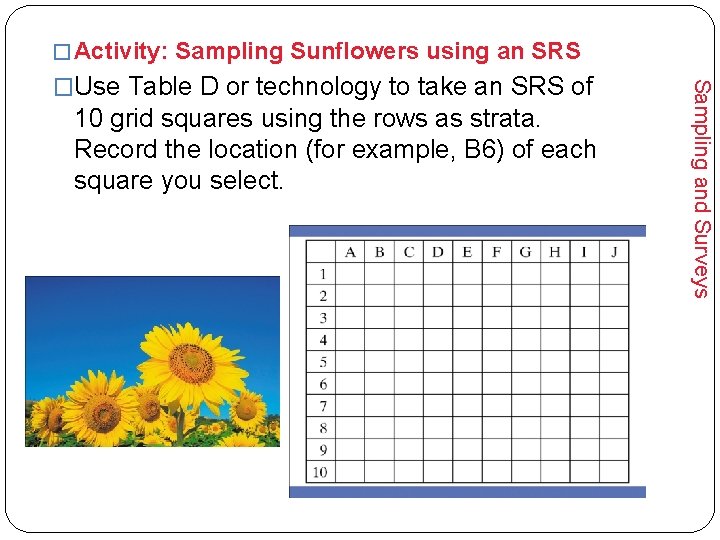 � Activity: Sampling Sunflowers using an SRS 10 grid squares using the rows as