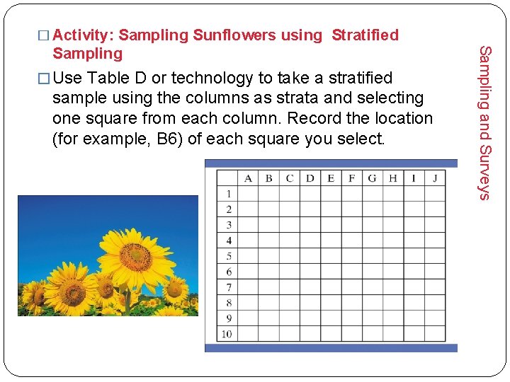 � Activity: Sampling Sunflowers using Stratified � Use Table D or technology to take