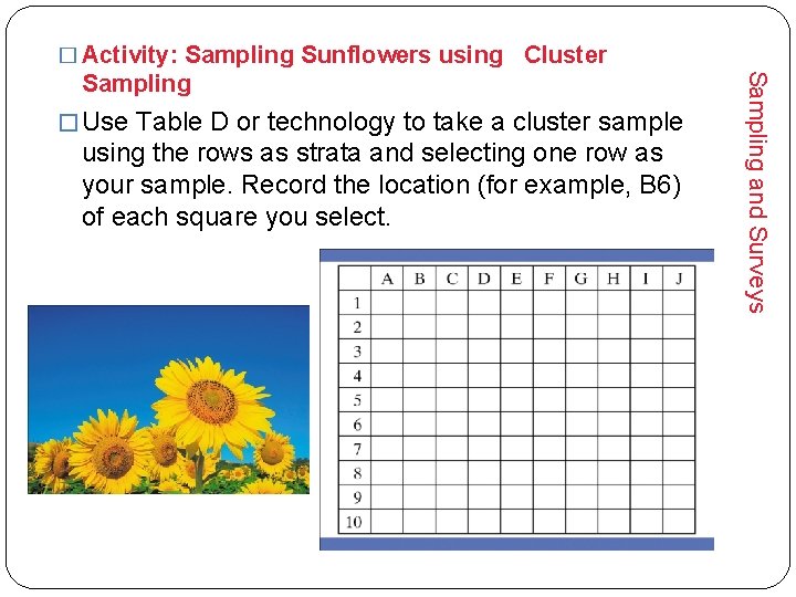 � Activity: Sampling Sunflowers using Cluster � Use Table D or technology to take