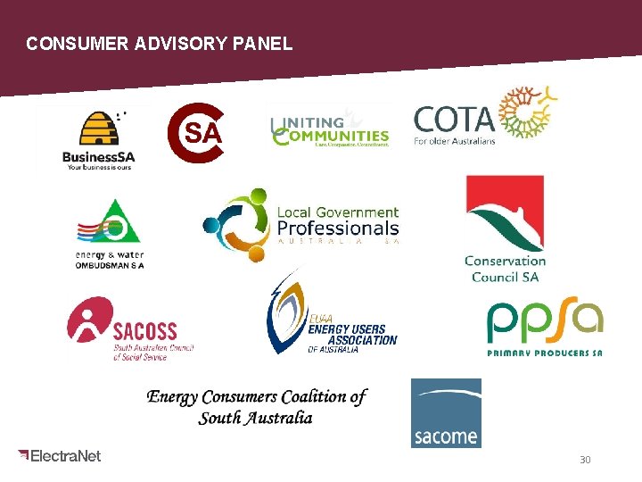 CONSUMER ADVISORY PANEL 30 