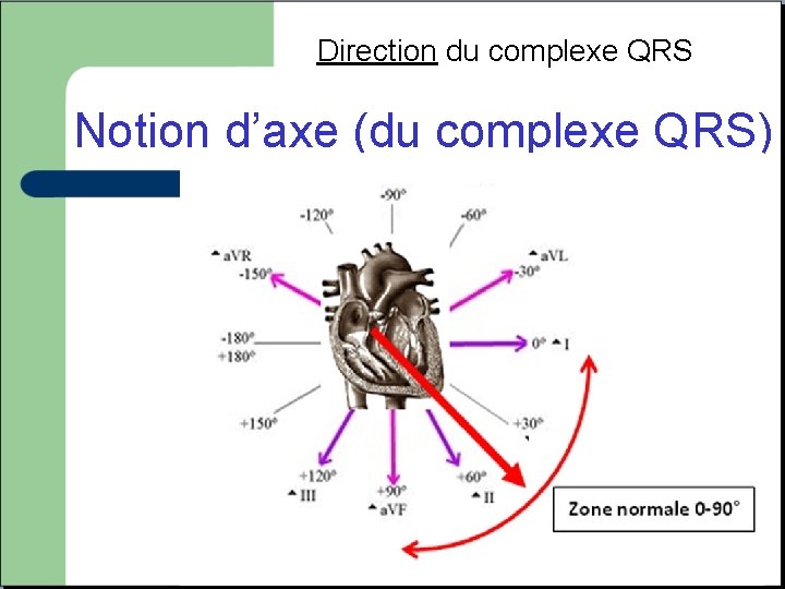 Direction du complexe QRS Notion d’axe (du complexe QRS) 