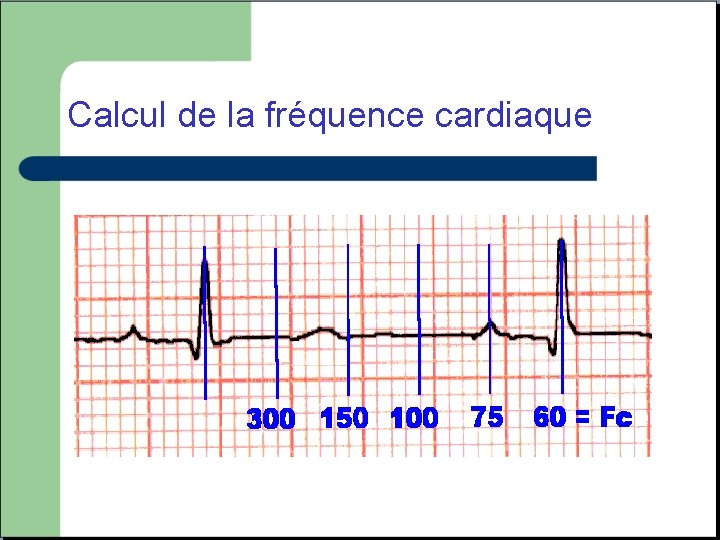 Calcul de la fréquence cardiaque 