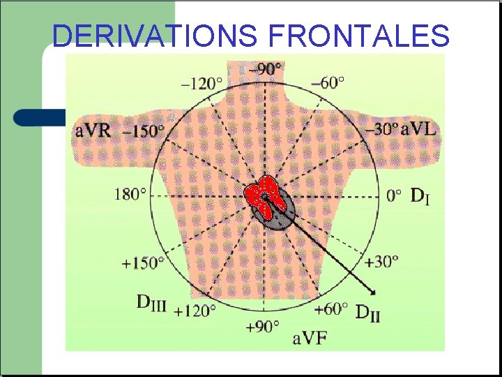 DERIVATIONS FRONTALES 