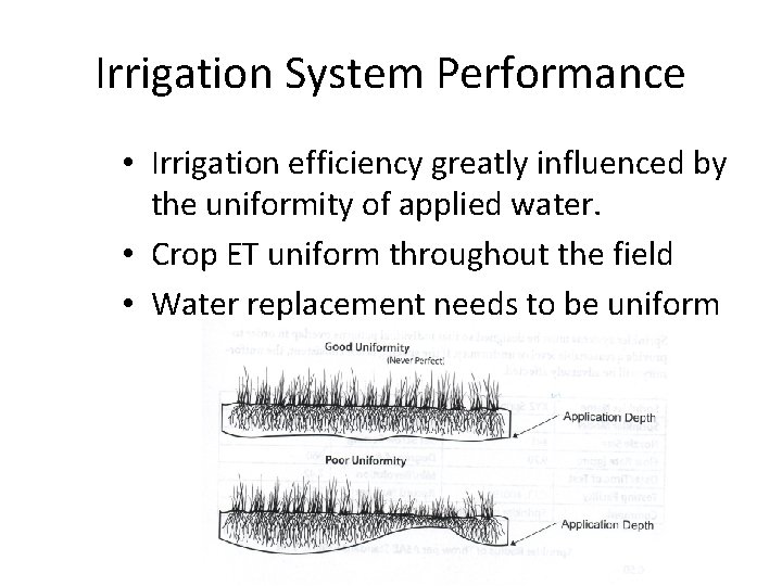 Irrigation System Performance • Irrigation efficiency greatly influenced by the uniformity of applied water.