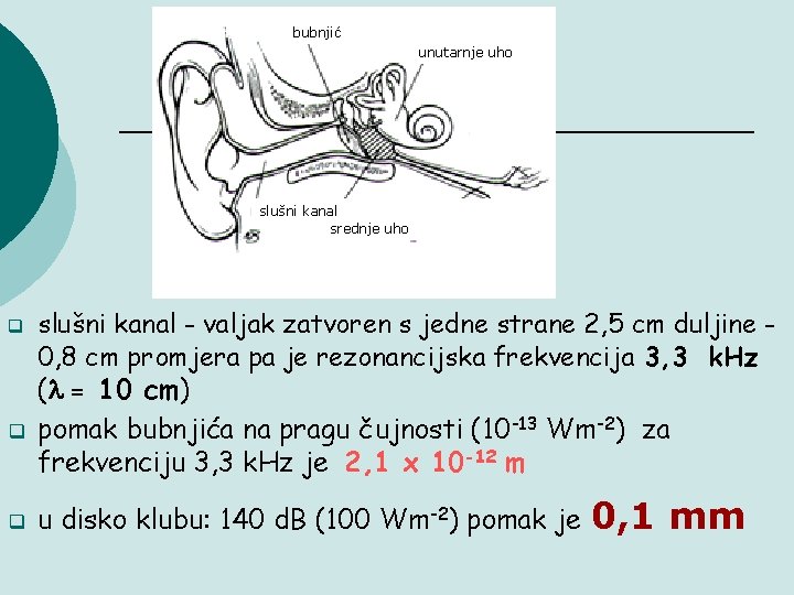 bubnjić unutarnje uho slušni kanal srednje uho q q q slušni kanal - valjak