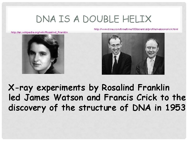 DNA IS A DOUBLE HELIX http: //www. time. com/time 100/scientist/profile/watsoncrick. html http: //en. wikipedia.