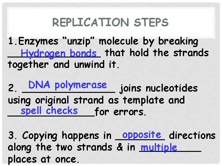 REPLICATION STEPS 1. Enzymes “unzip” molecule by breaking ________ Hydrogen bonds that hold the