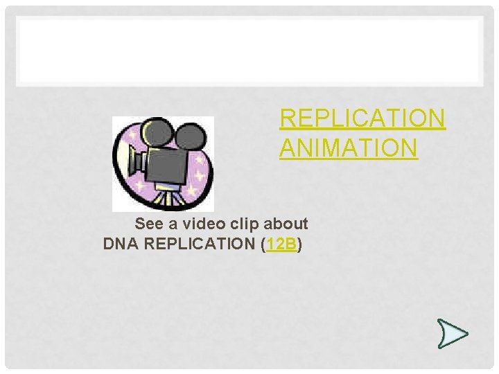 REPLICATION ANIMATION See a video clip about DNA REPLICATION (12 B) 