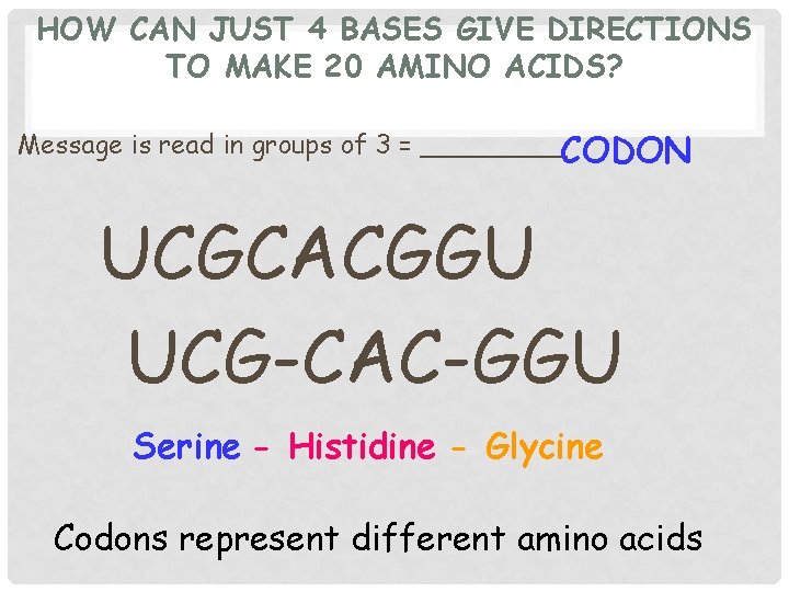 HOW CAN JUST 4 BASES GIVE DIRECTIONS TO MAKE 20 AMINO ACIDS? Message is