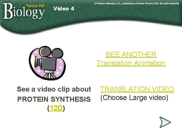 Video 4 SEE ANOTHER Translation Animation See a video clip about PROTEIN SYNTHESIS (12