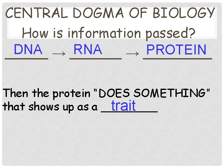 CENTRAL DOGMA OF BIOLOGY How is information passed? DNA → ______ RNA PROTEIN _____