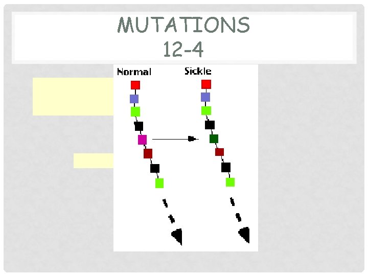 MUTATIONS 12 -4 