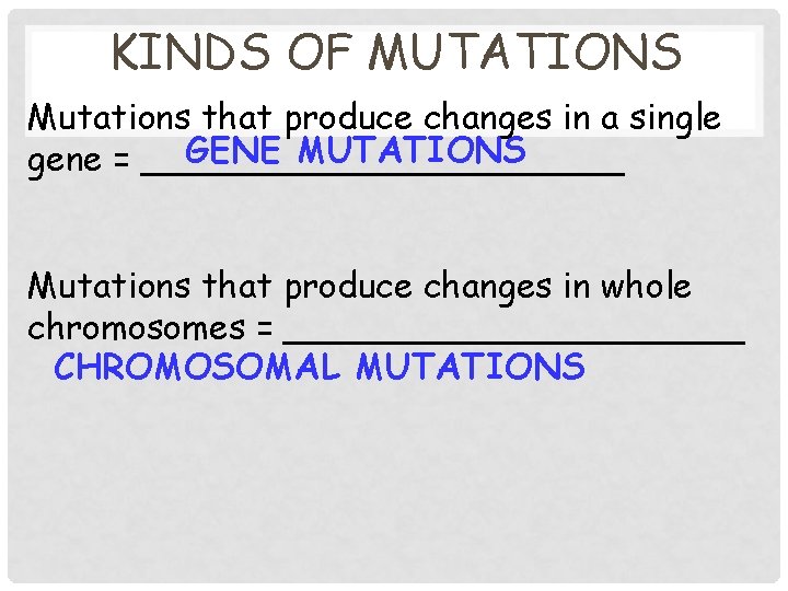 KINDS OF MUTATIONS Mutations that produce changes in a single GENE MUTATIONS gene =