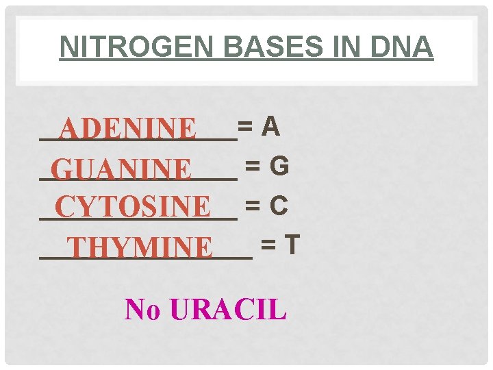 NITROGEN BASES IN DNA _______= A ADENINE _______ =G GUANINE _______ CYTOSINE = C