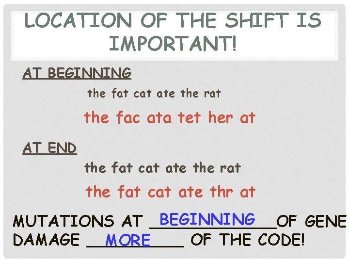 LOCATION OF THE SHIFT IS IMPORTANT! AT BEGINNING the fat cat ate the rat