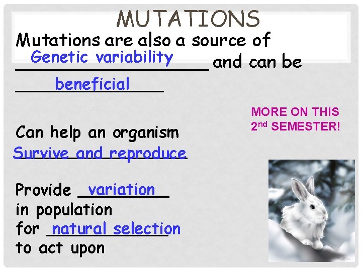 MUTATIONS Mutations are also a source of Genetic variability _________ and can be beneficial