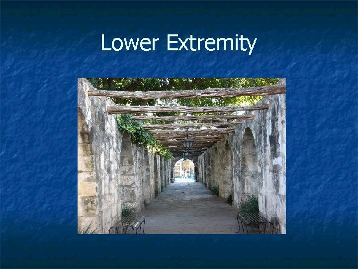 Lower Extremity 