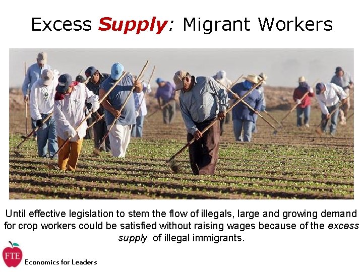 Excess Supply: Migrant Workers Until effective legislation to stem the flow of illegals, large