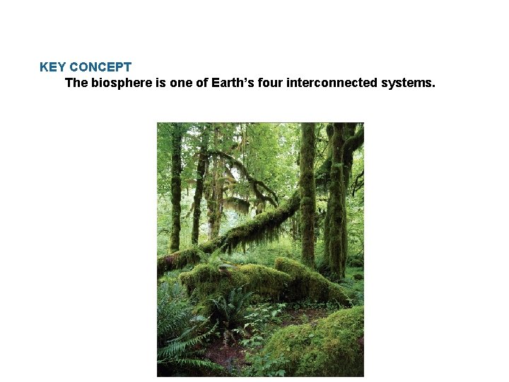 KEY CONCEPT The biosphere is one of Earth’s four interconnected systems. 