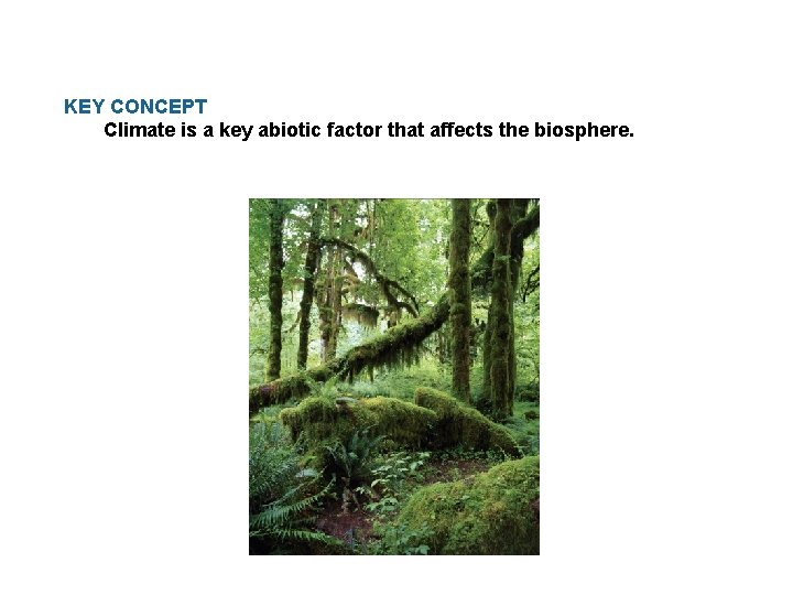 KEY CONCEPT Climate is a key abiotic factor that affects the biosphere. 