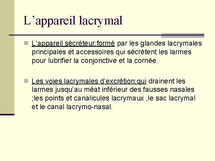 L’appareil lacrymal n L’appareil sécréteur: formé par les glandes lacrymales principales et accessoires qui