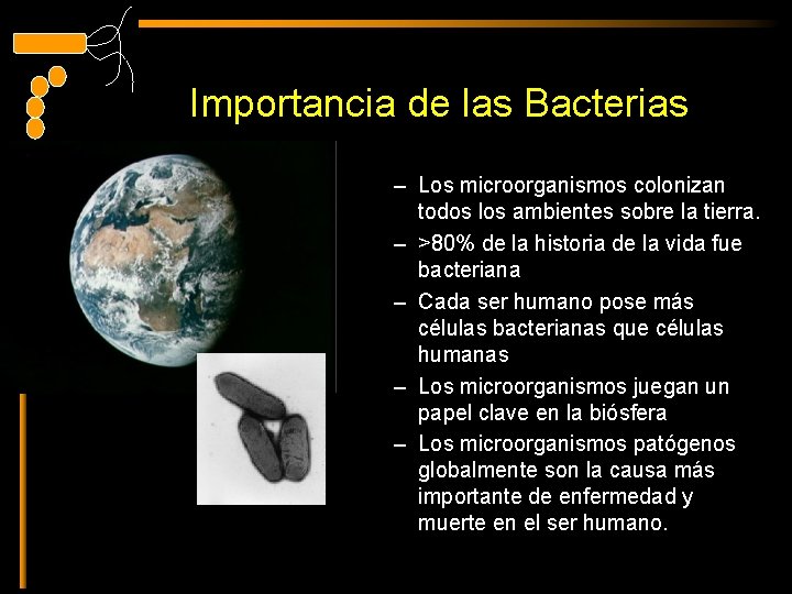 Importancia de las Bacterias – Los microorganismos colonizan todos los ambientes sobre la tierra.